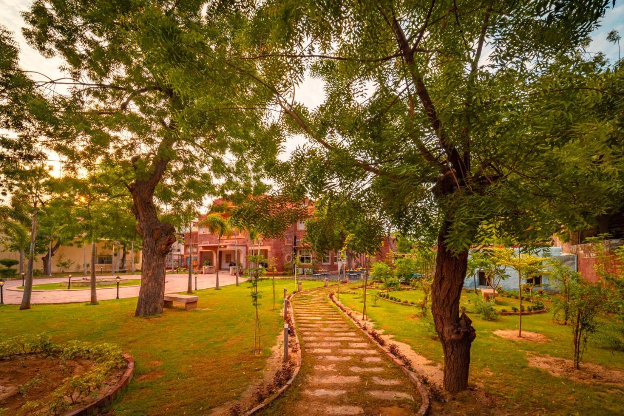 ホテル Tree Of Life Bhadrajun House, Jodhpur ジョードプル エクステリア 写真