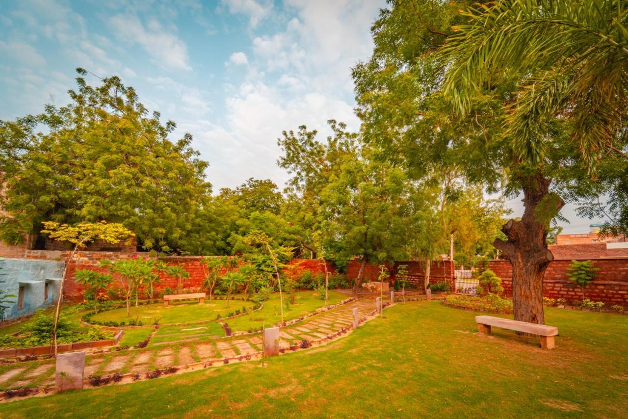 ホテル Tree Of Life Bhadrajun House, Jodhpur ジョードプル エクステリア 写真